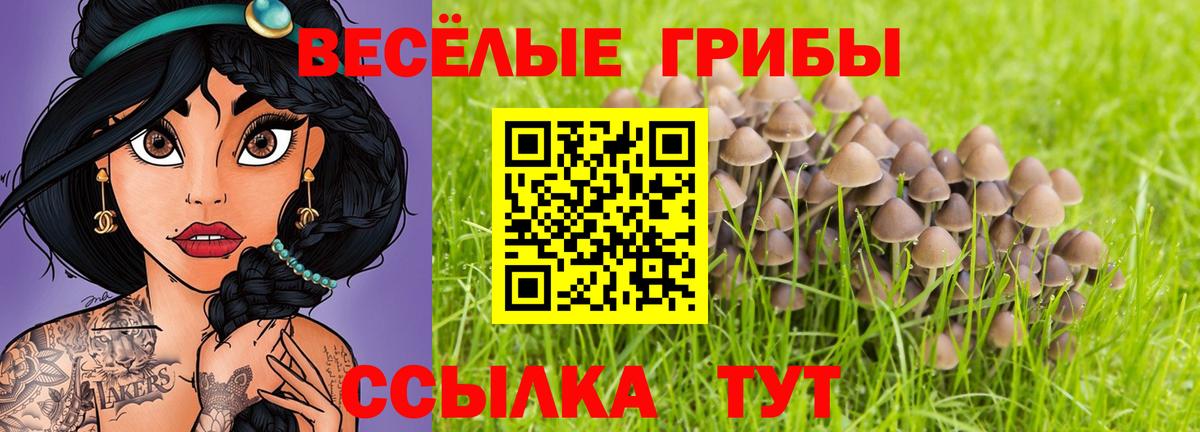 Галлюциногенные грибы мицелий Апрелевка